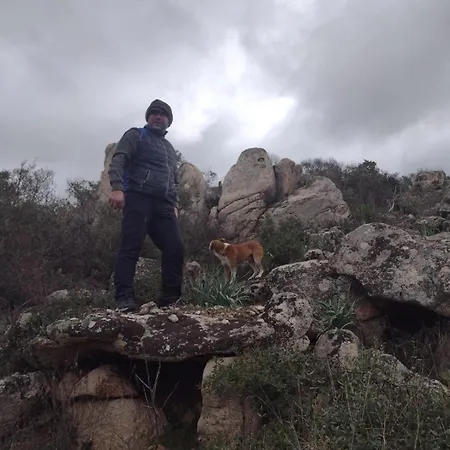 Pasare Glamping_anglonaruralexperience ラグジュアリーテント Perfugas